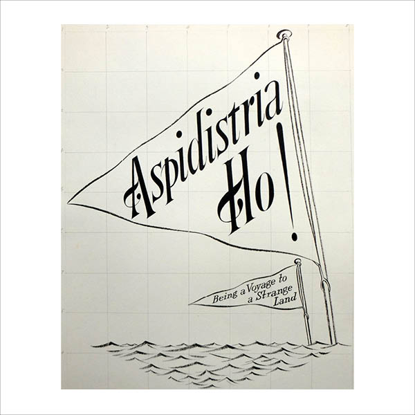 Aspidistra Ho