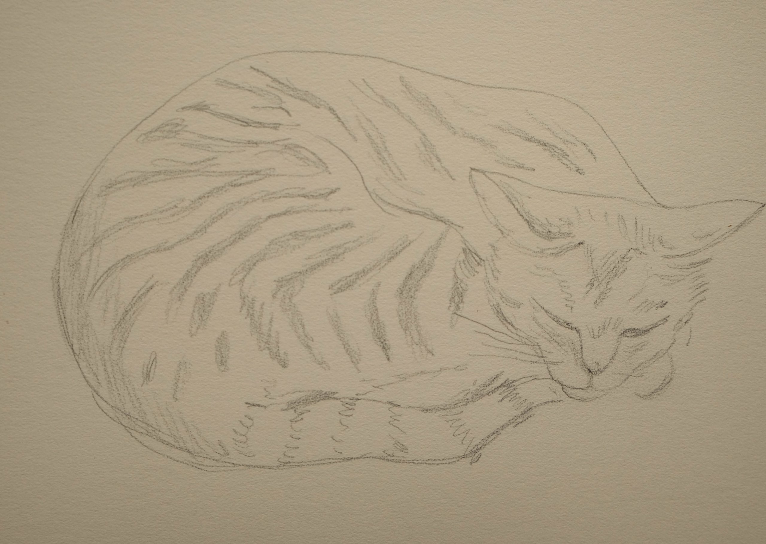 1940_17_Cat-sleeping