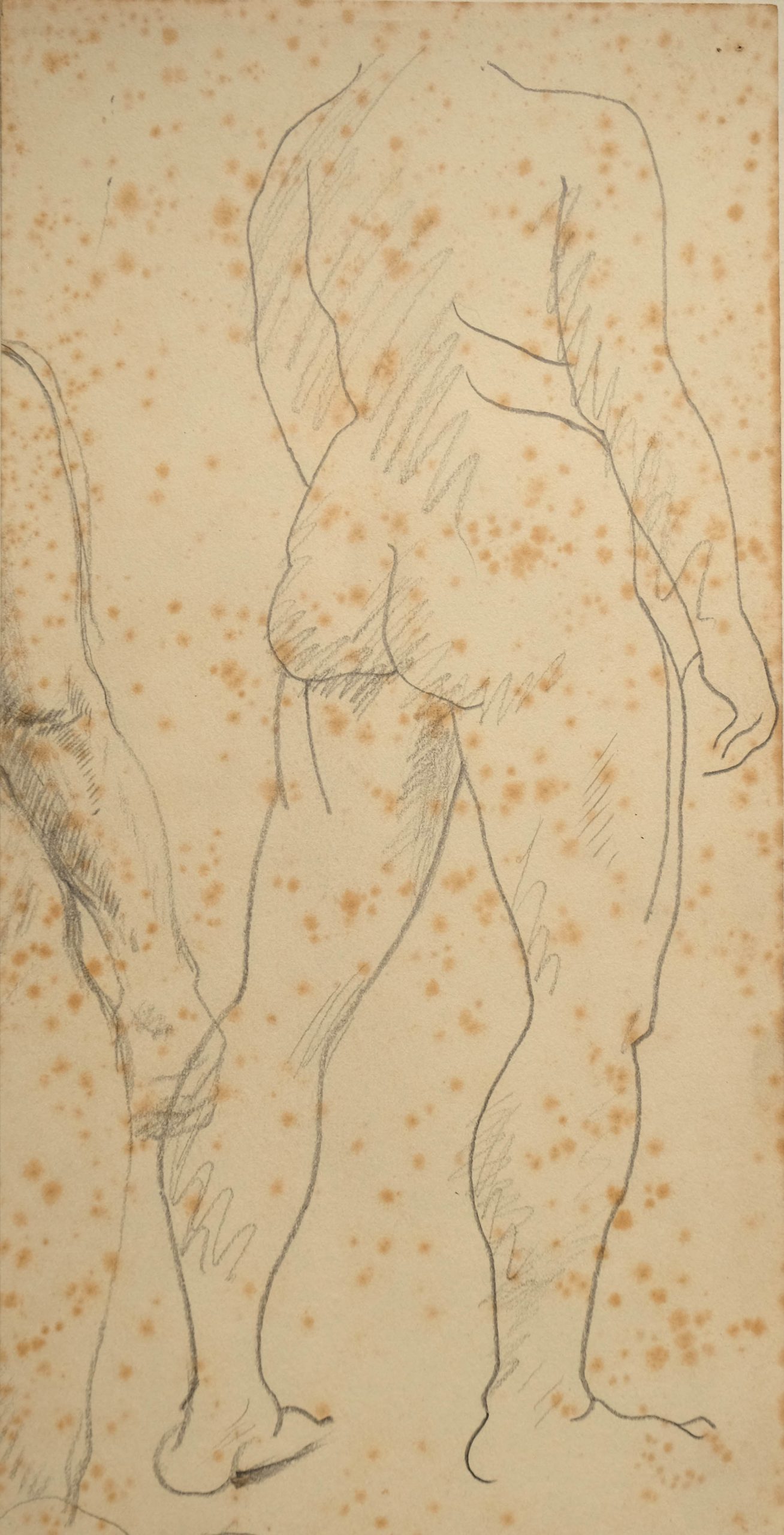 LifeDrawing_46_Figure-standing-pose-back-view